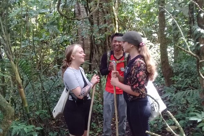 Combine of Tamblingan Waterfall and Twin Lake Tour