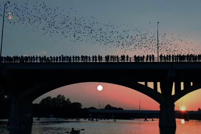 Congress Avenue Bat Bridge Paddleboard Tour With Austin Skyline