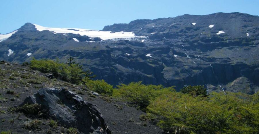 Conguillío National Park Tour - Full Day