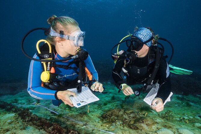 Conservation Diving -Coral Reef Ecology and Monitoring in Waikiki
