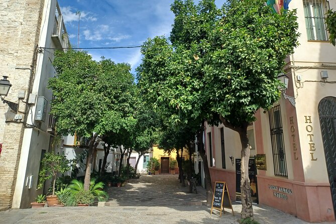 Contrasts of Seville