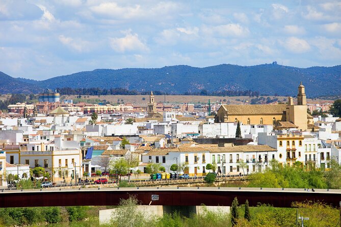 Cordoba Private Custom Walking Tour With A Guide (Private Tour) - Meeting and Pickup Details