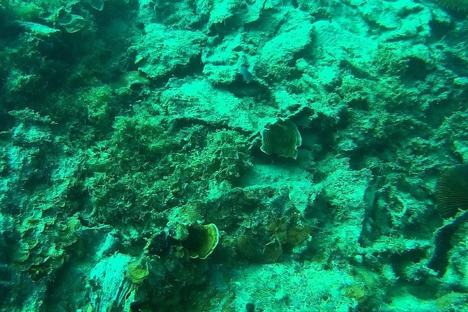 Coron Reefs & Wreck Tour (Shared Tour)