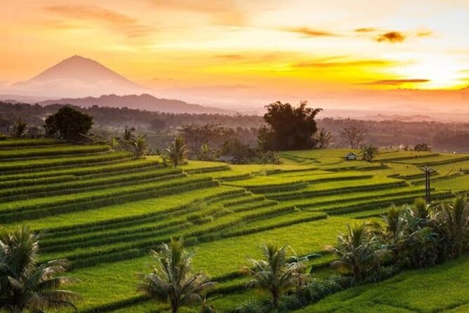 Costumized Bali UNESCO World Heritages Sites Tour
