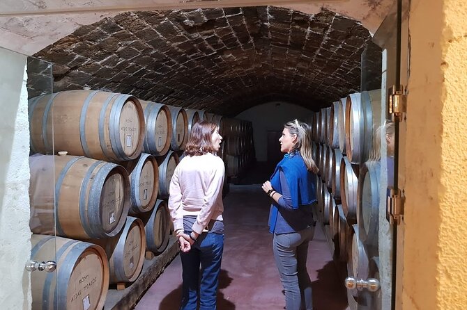 Crete Wine & Olive Oil Tour