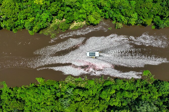 Cruise Tour Through the Bolivian Amazon in Trinidad Beni - Exploring the Bolivian Amazon