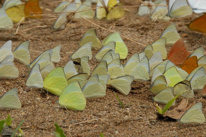 Cuc Phuong National Park Trekking Day Trip