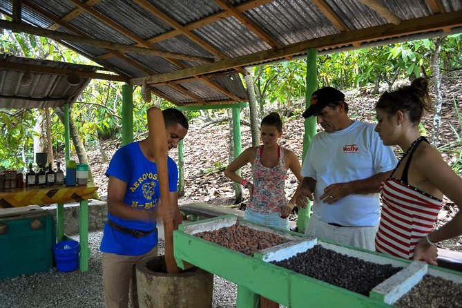 Cultural Safari Tour From Punta Cana - Tour Overview
