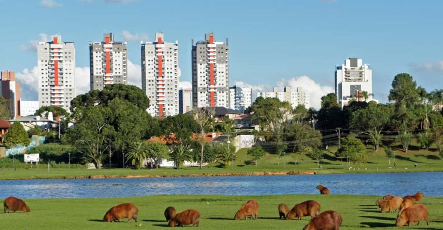 24 Best Tours In Curitiba