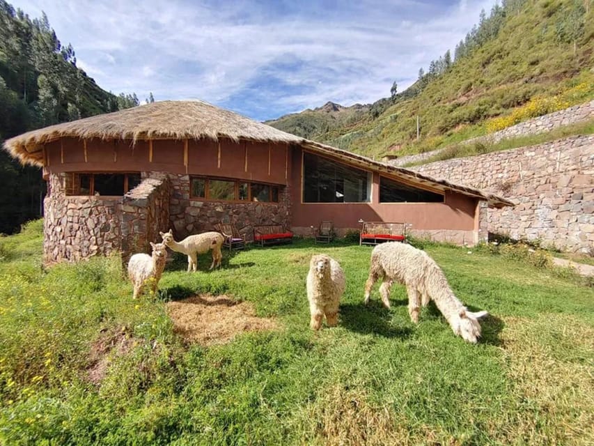 Cusco: 3-Day Ayahuasca Retreat With Meditation - Overview and Experience