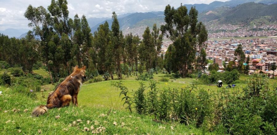 Cusco: Hidden Incan Temples Full-Day Horseback Riding Tour