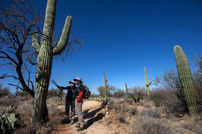 Custom Private Tucson Day Tour From Phoenix