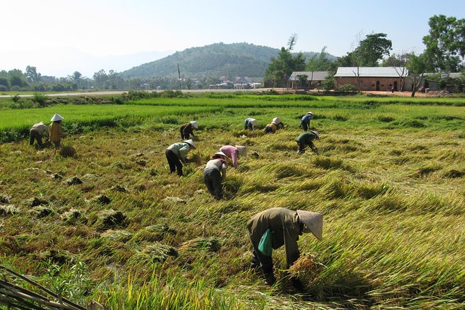 Dalat – Central Highland – Nha Trang