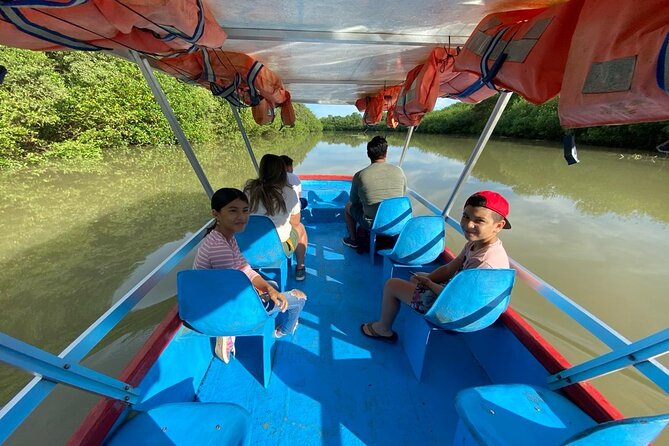 Damas Island Mangrove Tour With Monkeys - Inclusions and Exclusions