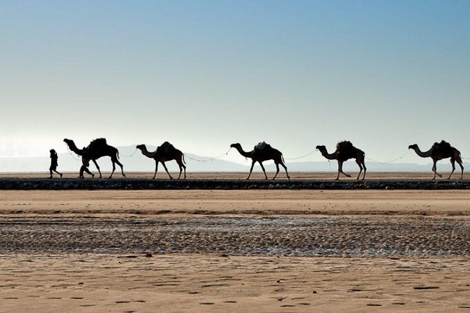 Danakil Depression And Lalibela 5 Days Tours