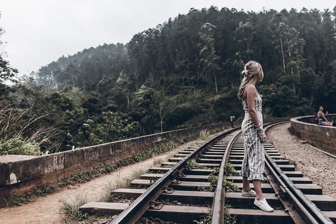 Day Excursions to Horton Plains & Local Train Experience From Ella