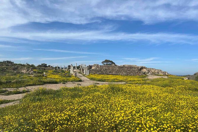 Day Tour to Famagusta, Ghost Town & Ancient Salamis - Overview of the Tour