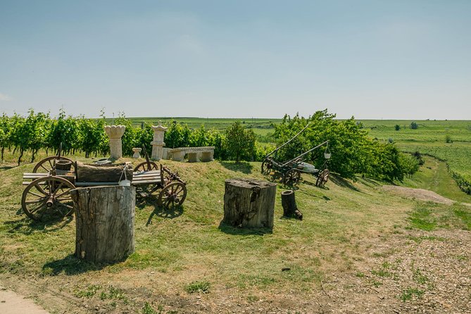 Dealu Mare Wine Country Tour - Lunch Included