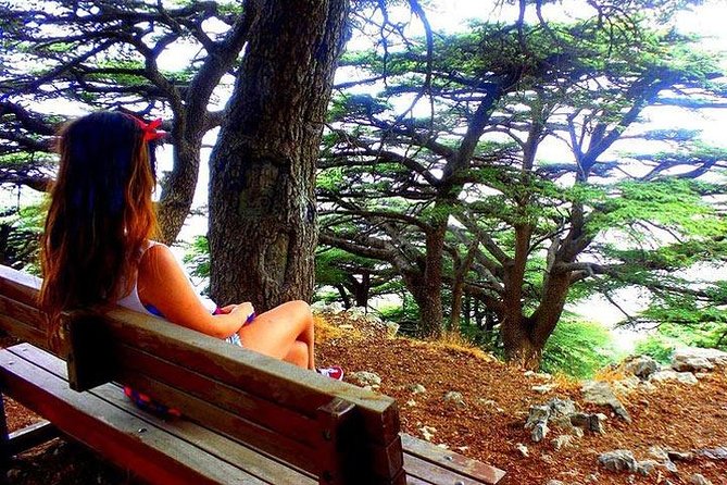 Deir Al-Qamar, Beiteddine Palace and Barouk Cedars Tour