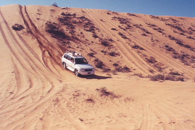 Desert Safari to Wahiba Sands and Wadi Bani Khalid From Muscat - Tour Overview