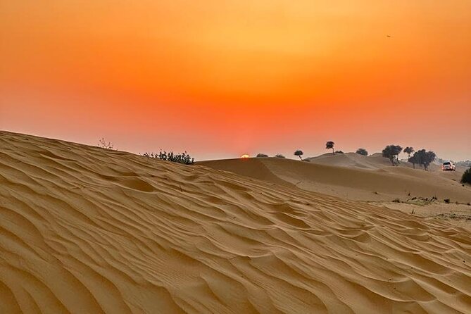 Desert Safari With Bab Al Shams Camp