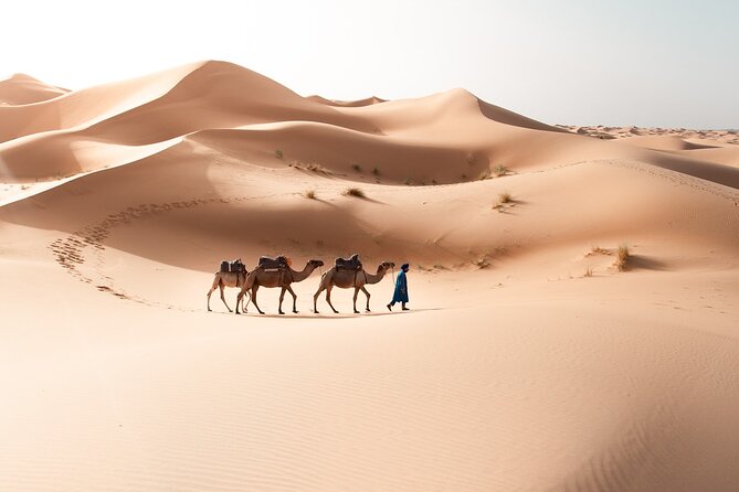 Desert Tour From Marrakech