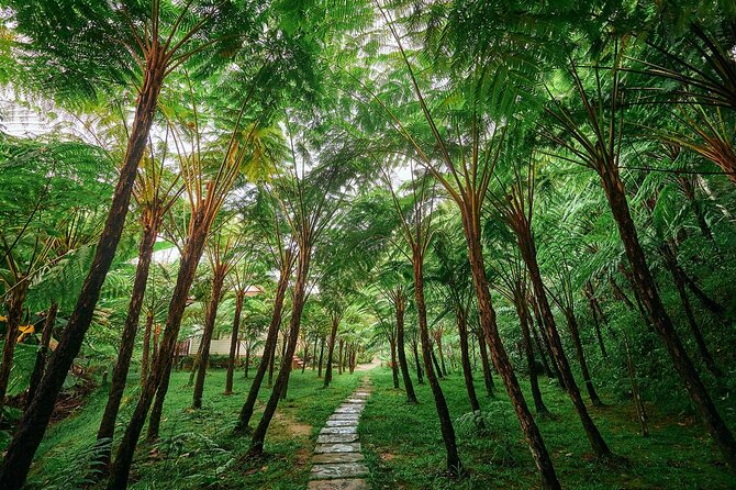 Discover Full Day Tour Doi Inthanon National Park From Chiang Mai - Exploring Doi Inthanon National Park