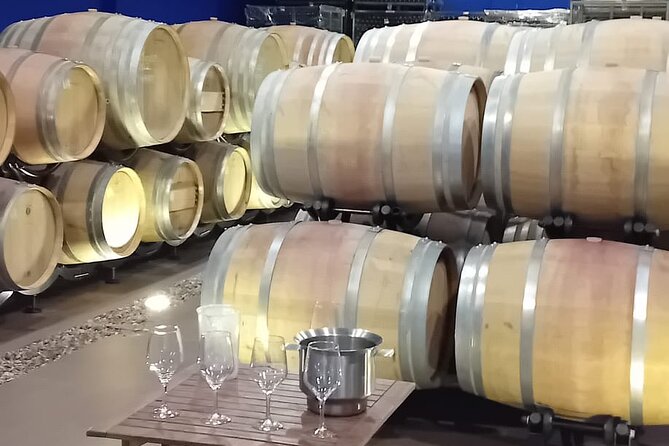 Discover Madrid’s Hidden DO: Exclusive Winery Tour & Tasting