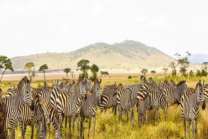 2 Best Guided Tours In Tanzania