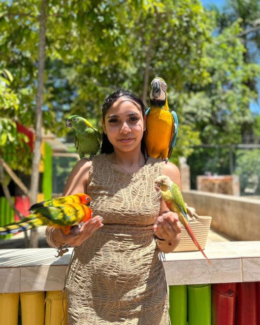 Doctors Cave Beach, Canabis and Bird Farm Private Tour