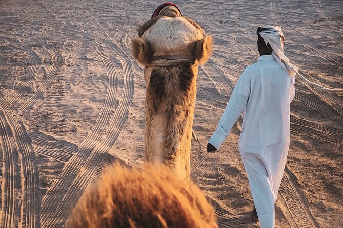 Doha Overnight Desert Safari Dinner/Breakfast Included