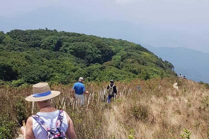 Doi Inthanon National Park Day Trip