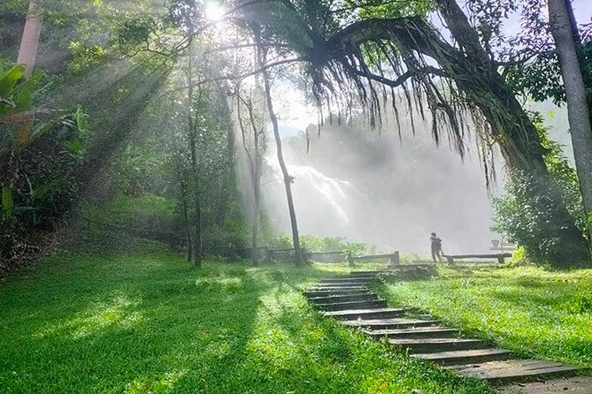 Doi Inthanon Private Trek & Lunch Tour From Chiang Mai