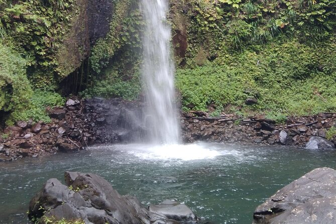 Dominica Full Day Tour -6 Waterfalls in 1 Day and Rainforest