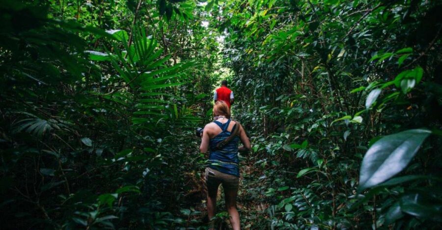 Dominica Hiking Adventures - Overview and Pricing