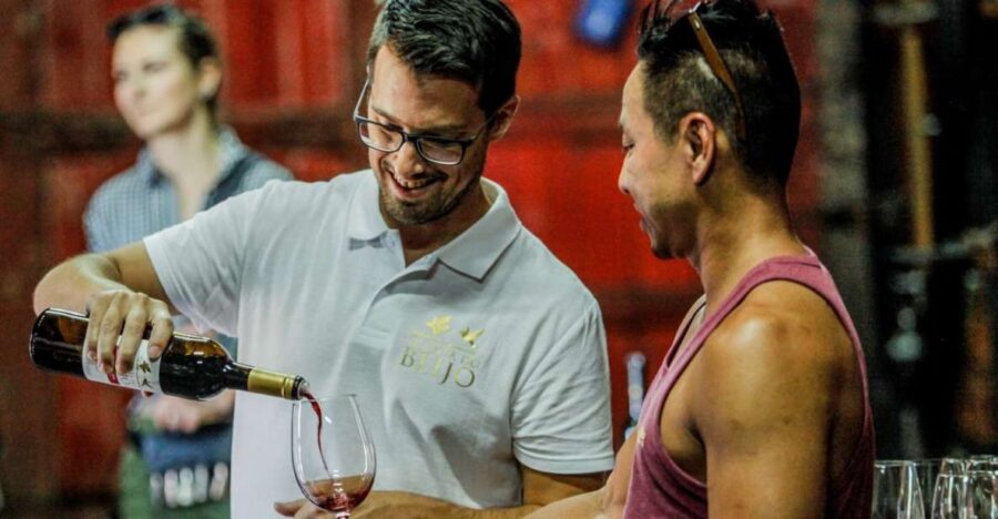 Douro: Classic Wine Tasting With Guided Tour