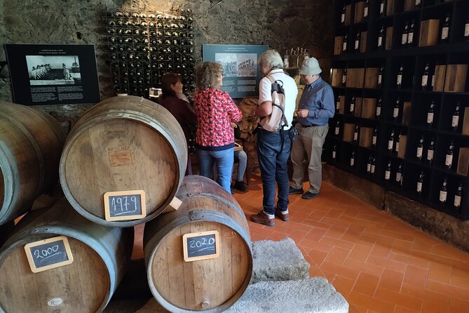 Douro Tour With River Cruise, 2 Wine Estates & Lunch, From Porto