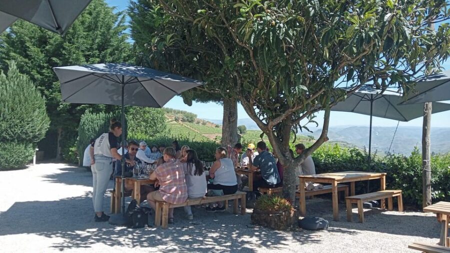 Douro Tour With Wine Tasting and Visit to Lamego and Pinhão
