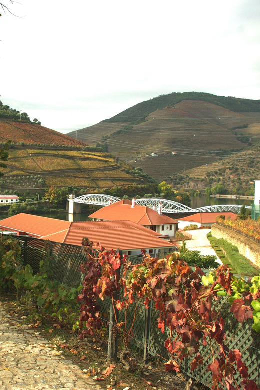 Douro Valley: From Casal De Loivos to Pinhão Walk and Wine - Trip Overview