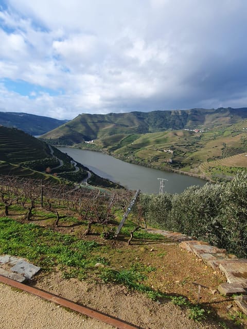 4 Best Full-Day Tours In Peso Da Regua