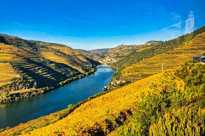 Douro Valley Private Tour: 2 Farms, Lunch & Boat Trip - Overview of the Tour
