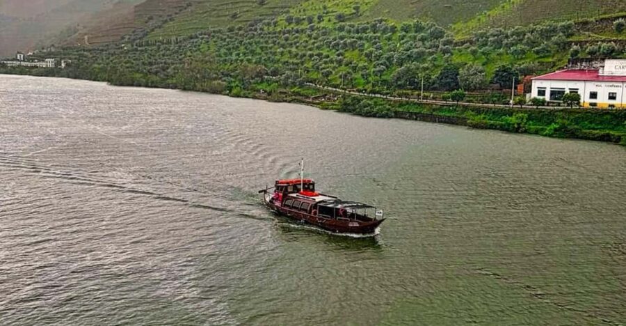 Douro Valley: Private Tour 2 Vineyards & River Cruise