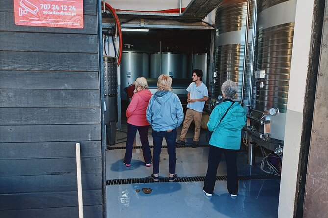 Douro Valley Private Tour With Sommelier