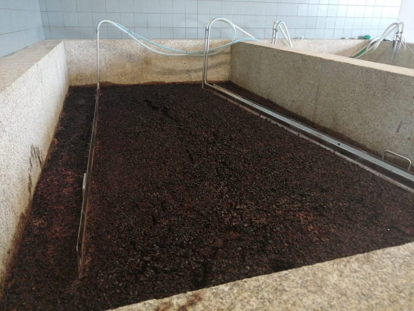 Douro Valley Wine Tour With Traditional Lunch
