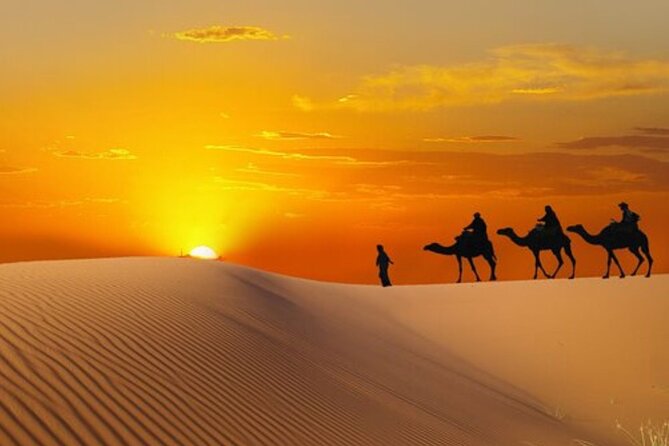 Dubai Morning Desert Safari
