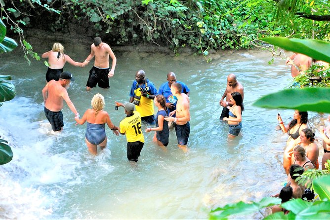 Dunns River Falls and Ocho Rios Shopping Tour From Falmouth
