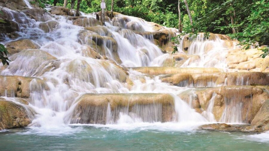 Dunns River Falls and Ziplines Private Tour