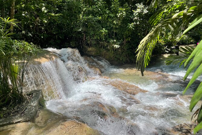 Dunn’s River Falls, Zipline, ATV & Horseback Ride Guided Tour