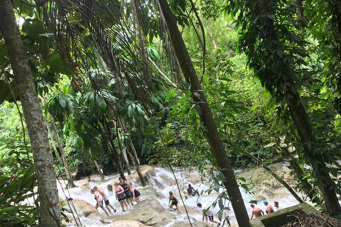 Dunns River Tour
