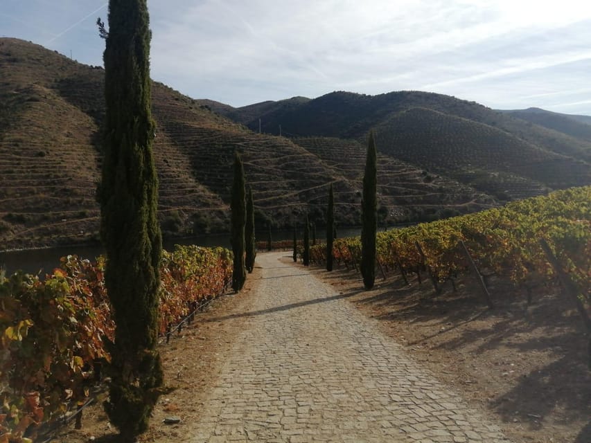 E-Bike Through Douro Valley Wine Region for Half Day Tour